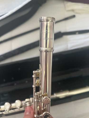 Azumi flute b - altus),